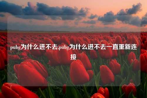 pubg为什么进不去,pubg为什么进不去一直重新连接