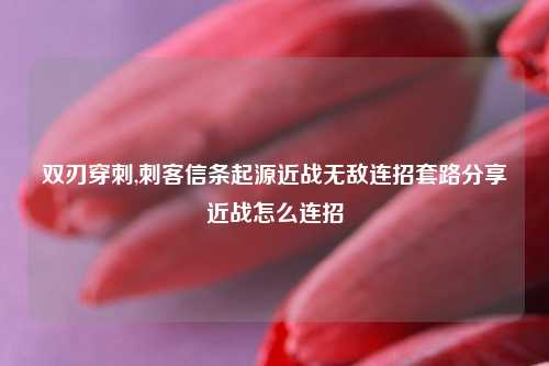 双刃穿刺,刺客信条起源近战无敌连招套路分享近战怎么连招