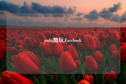 pubg陪玩,Facebook