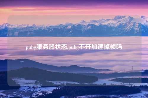 pubg服务器状态,pubg不开加速掉桢吗