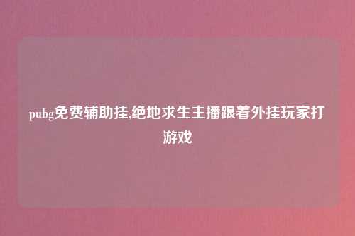 pubg免费辅助挂,绝地求生主播跟着外挂玩家打游戏