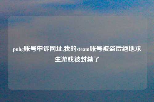 pubg账号申诉网址,我的steam账号被盗后绝地求生游戏被封禁了