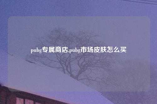 pubg专属商店,pubg市场皮肤怎么买