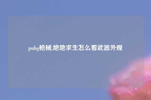 pubg枪械,绝地求生怎么看武器外观