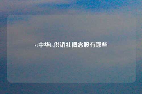 st中华b,供销社概念股有哪些