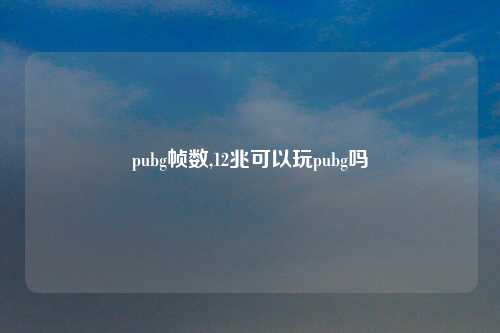 pubg帧数,12兆可以玩pubg吗