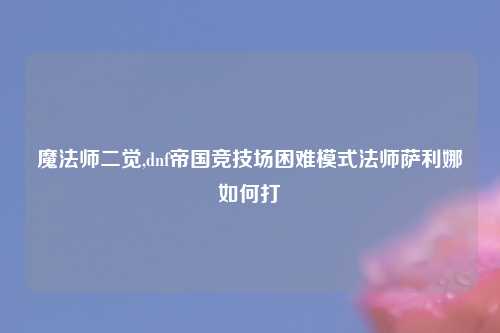 魔法师二觉,dnf帝国竞技场困难模式法师萨利娜如何打
