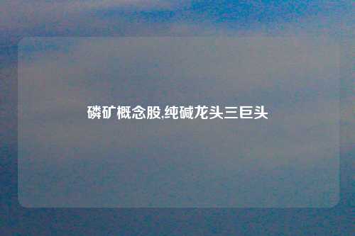 磷矿概念股,纯碱龙头三巨头