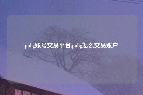 pubg账号交易平台,pubg怎么交易账户