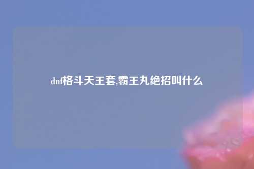 dnf格斗天王套,霸王丸绝招叫什么