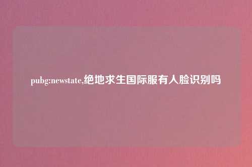 pubg:newstate,绝地求生国际服有人脸识别吗