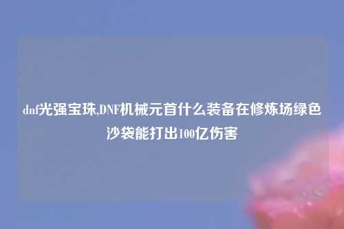 dnf光强宝珠,DNF机械元首什么装备在修炼场绿色沙袋能打出100亿伤害