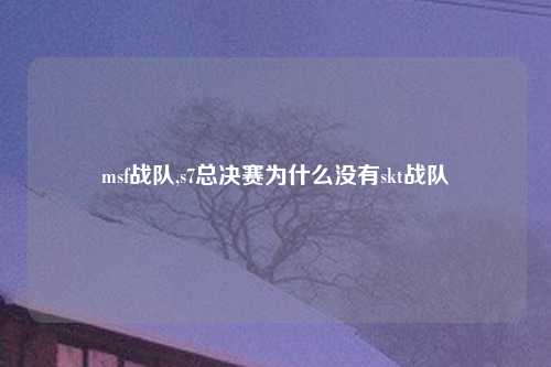 msf战队,s7总决赛为什么没有skt战队