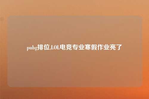pubg排位,LOL电竞专业寒假作业亮了