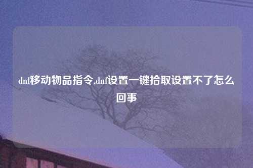 dnf移动物品指令,dnf设置一键拾取设置不了怎么回事