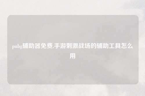 pubg辅助器免费,手游刺激战场的辅助工具怎么用