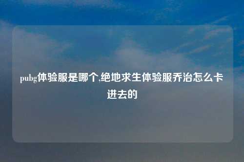 pubg体验服是哪个,绝地求生体验服乔治怎么卡进去的