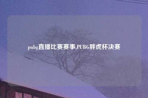 pubg直播比赛赛事,PUBG胖虎杯决赛