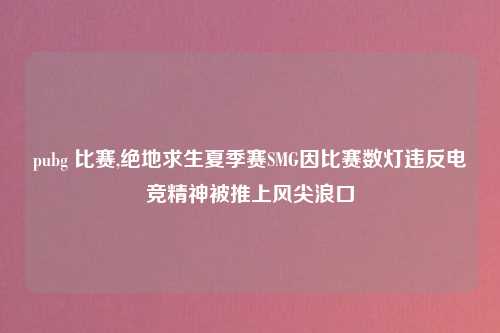 pubg 比赛,绝地求生夏季赛SMG因比赛数灯违反电竞精神被推上风尖浪口