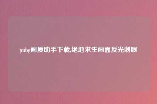 pubg画质助手下载,绝地求生画面反光刺眼