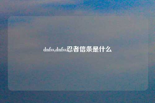 dnfss,dnfss忍者信条是什么