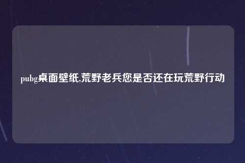 pubg桌面壁纸,荒野老兵您是否还在玩荒野行动