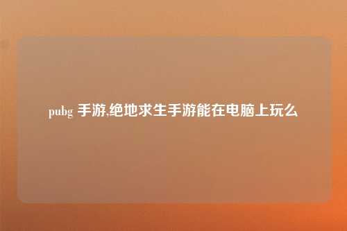 pubg 手游,绝地求生手游能在电脑上玩么
