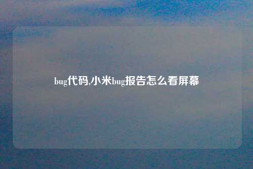 bug代码,小米bug报告怎么看屏幕