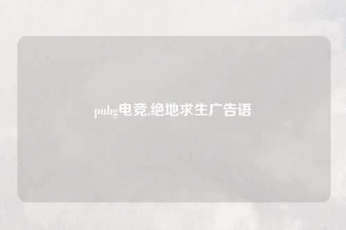 pubg电竞,绝地求生广告语