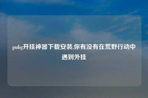 pubg开挂神器下载安装,你有没有在荒野行动中遇到外挂