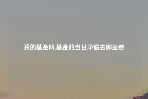 我的基金网,基金的当日净值去哪里看