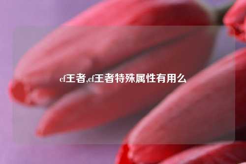 cf王者,cf王者特殊属性有用么