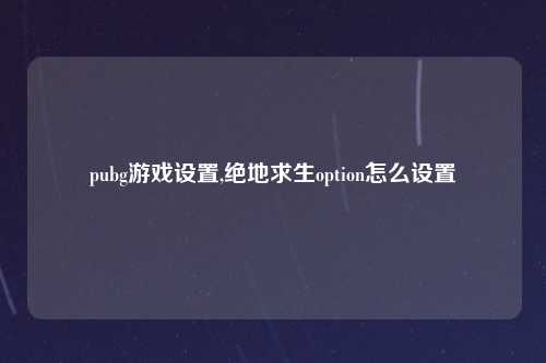 pubg游戏设置,绝地求生option怎么设置