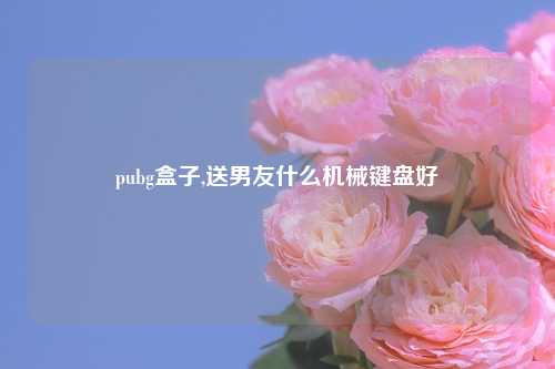 pubg盒子,送男友什么机械键盘好