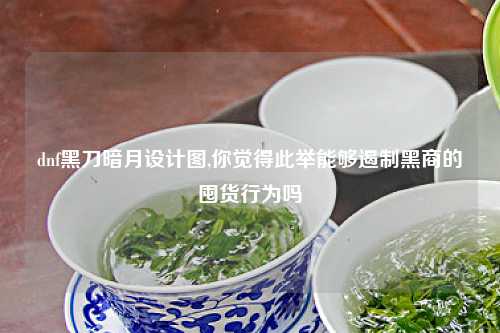dnf黑刀暗月设计图,你觉得此举能够遏制黑商的囤货行为吗