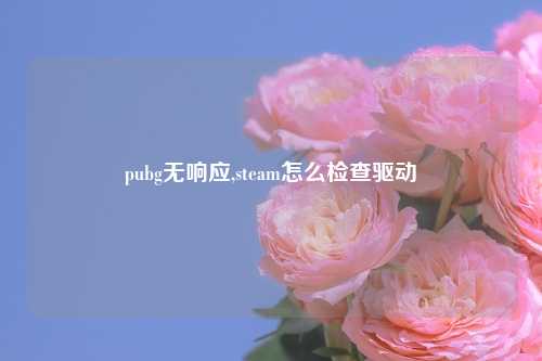 pubg无响应,steam怎么检查驱动