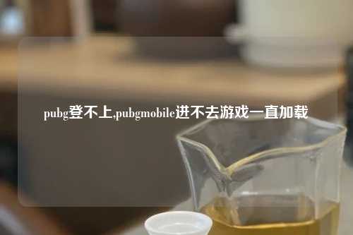 pubg登不上,pubgmobile进不去游戏一直加载