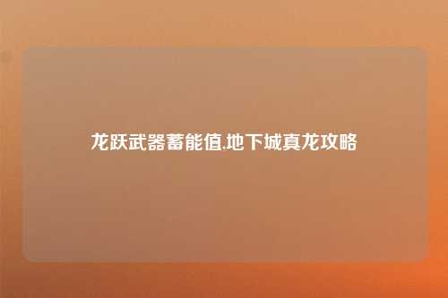 龙跃武器蓄能值,地下城真龙攻略