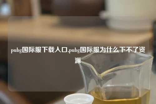 pubg国际服下载入口,pubg国际服为什么下不了资源