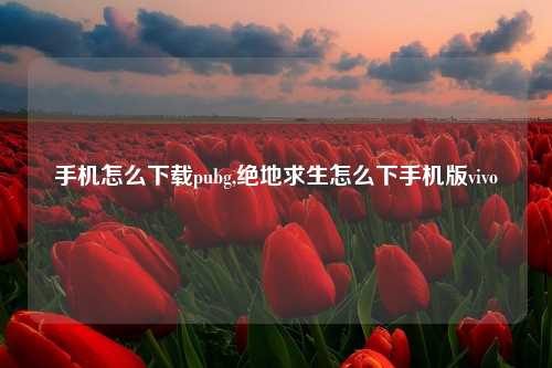 手机怎么下载pubg,绝地求生怎么下手机版vivo