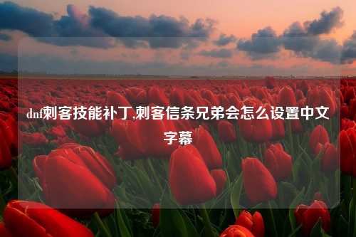 dnf刺客技能补丁,刺客信条兄弟会怎么设置中文字幕