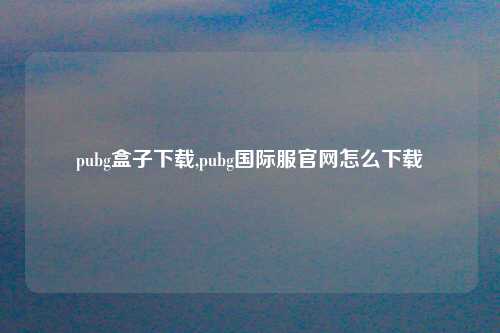 pubg盒子下载,pubg国际服官网怎么下载