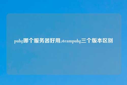 pubg哪个服务器好用,steampubg三个版本区别