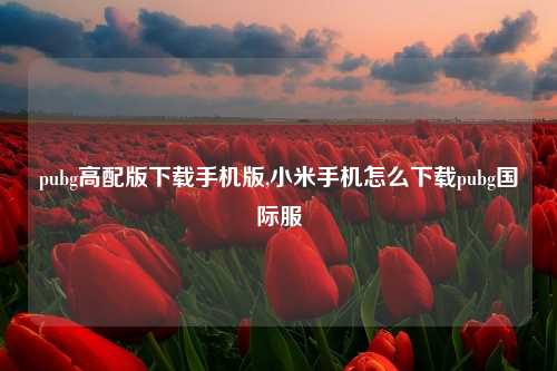 pubg高配版下载手机版,小米手机怎么下载pubg国际服