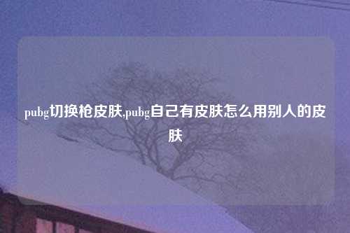 pubg切换枪皮肤,pubg自己有皮肤怎么用别人的皮肤
