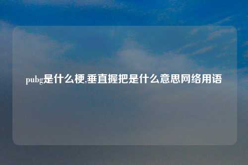 pubg是什么梗,垂直握把是什么意思网络用语