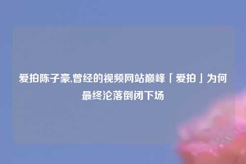爱拍陈子豪,曾经的视频网站巅峰「爱拍」为何最终沦落倒闭下场
