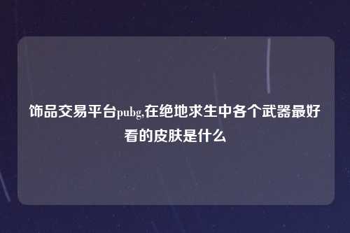 饰品交易平台pubg,在绝地求生中各个武器最好看的皮肤是什么