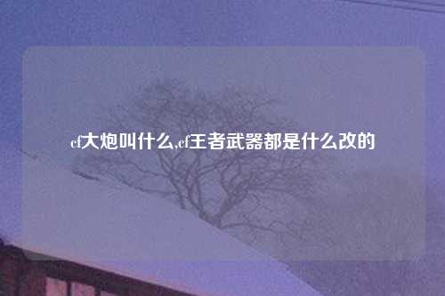 cf大炮叫什么,cf王者武器都是什么改的