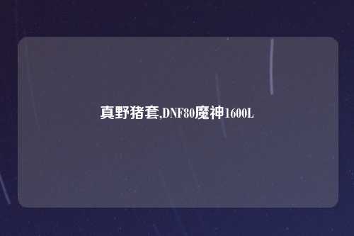 真野猪套,DNF80魔神1600L